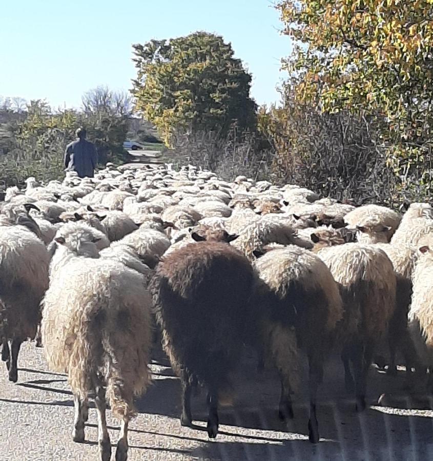 Kula Kula Atlagica Bagian luar foto